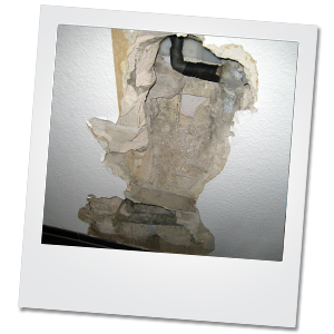 Maler-Eildinst Maler-Eildinst